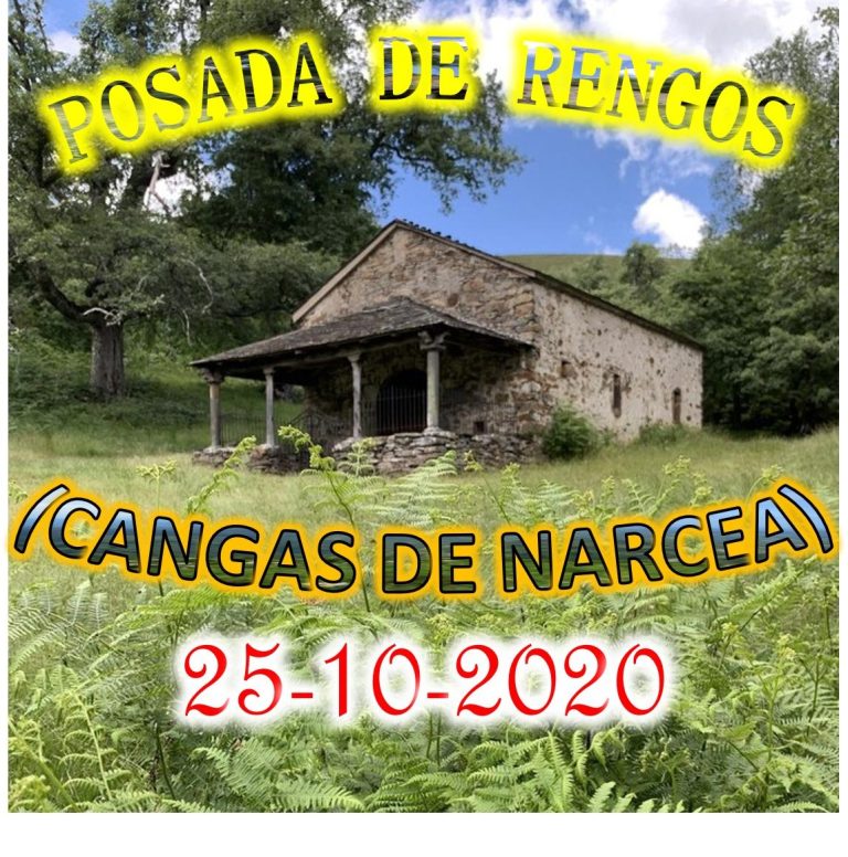 CONCEJO DE CANGAS DE NARCEA