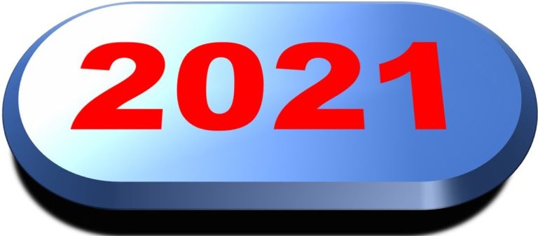 ACTIVIDADES DEL AÑO 2021