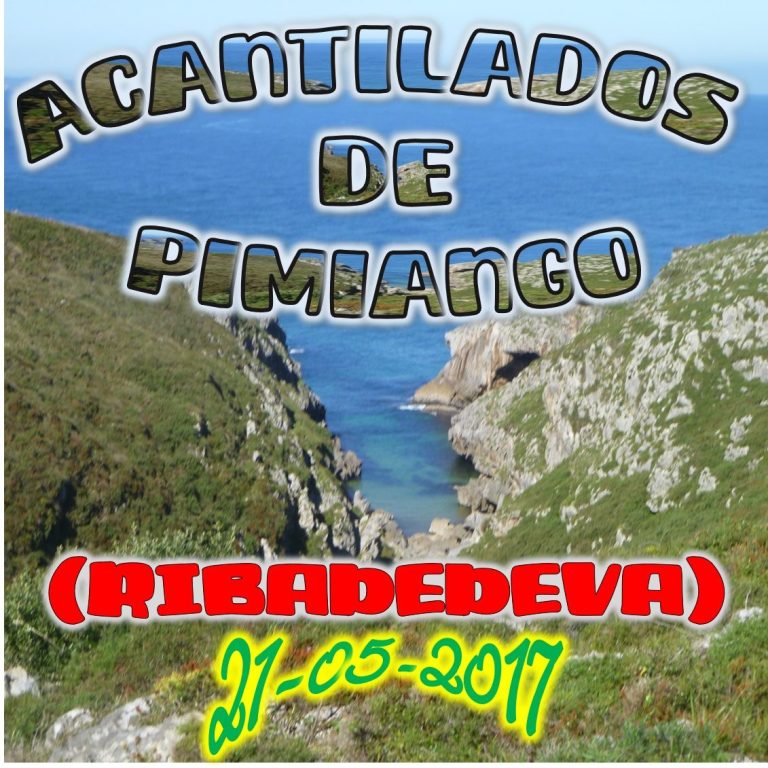 CONCEJO DE RIBADEDEVA