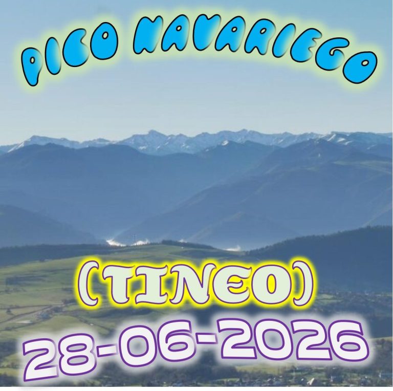 CONCEJO DE TINEO