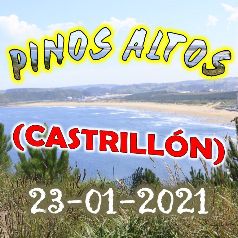 CONCEJO DE CASTRILLÓN