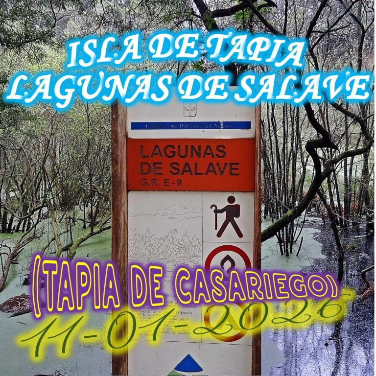 CONCEJO DE TAPIA DE CASARIEGO