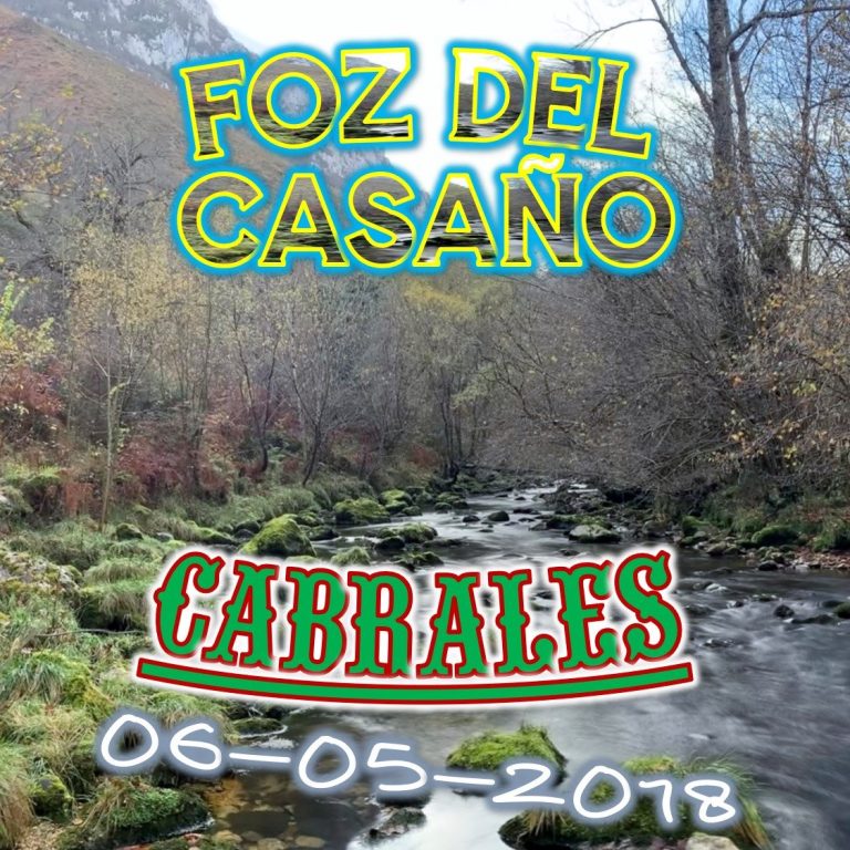 CONCEJO DE CABRALES