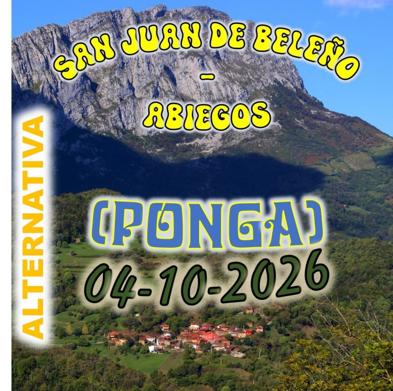 CONCEJO DE PONGA
