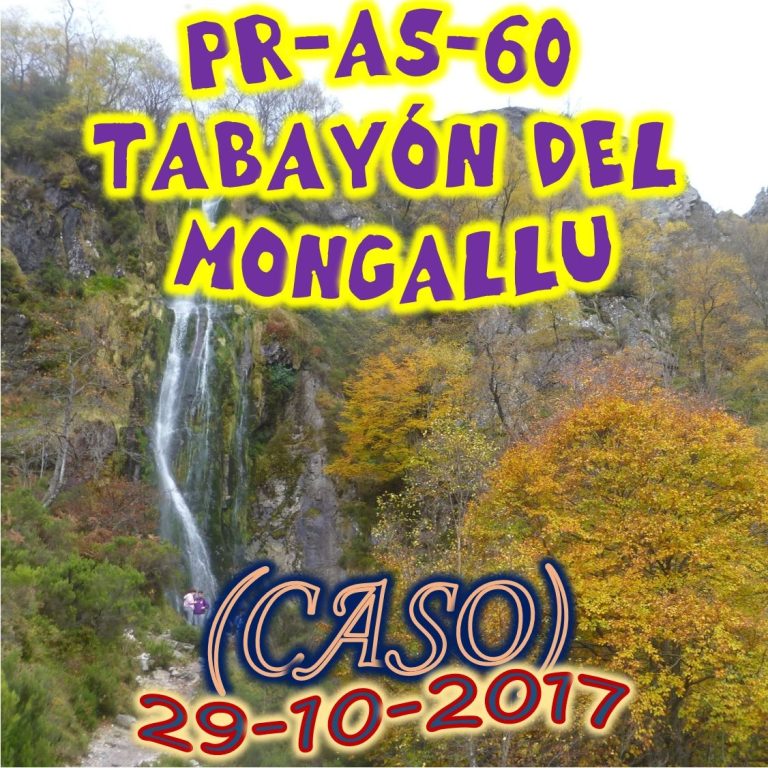 CONCEJO DE CASO