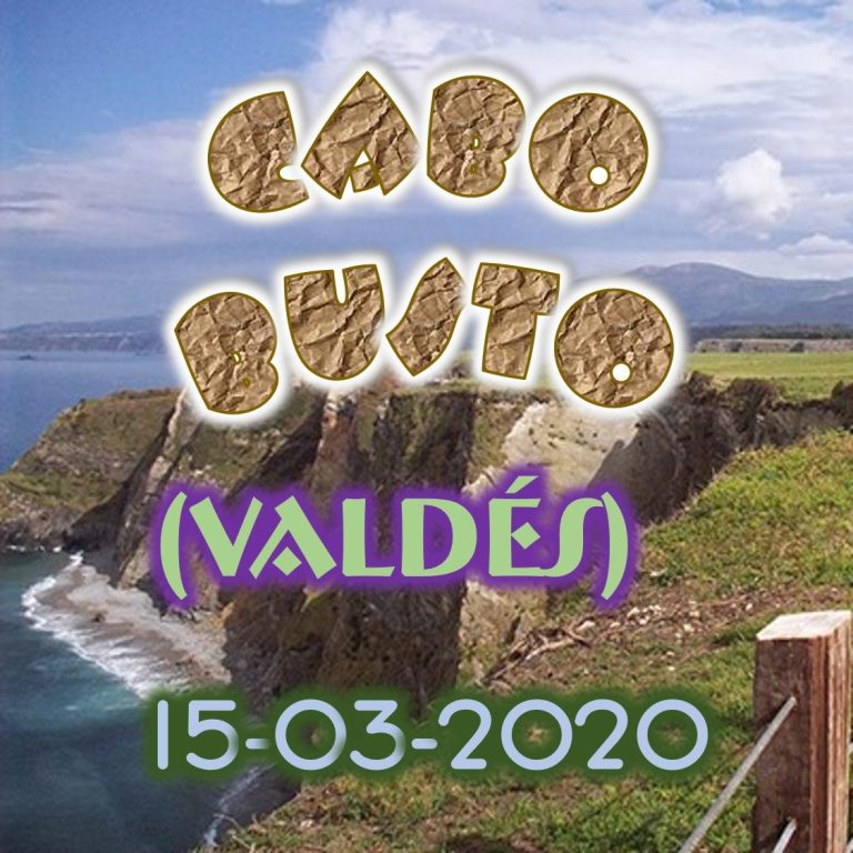 CONCEJO DE VALDÉS